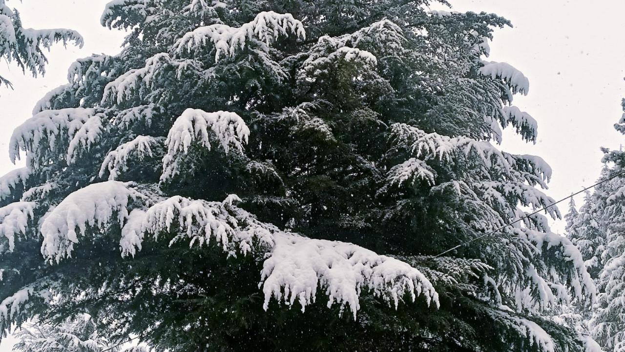 Baan By Snow City Farm Vashist Екстериор снимка